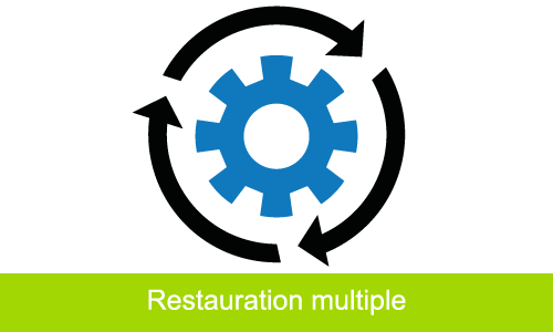 Restauration des sauvegardes