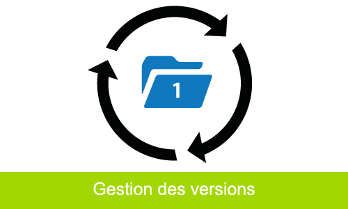 Version des sauvegardes